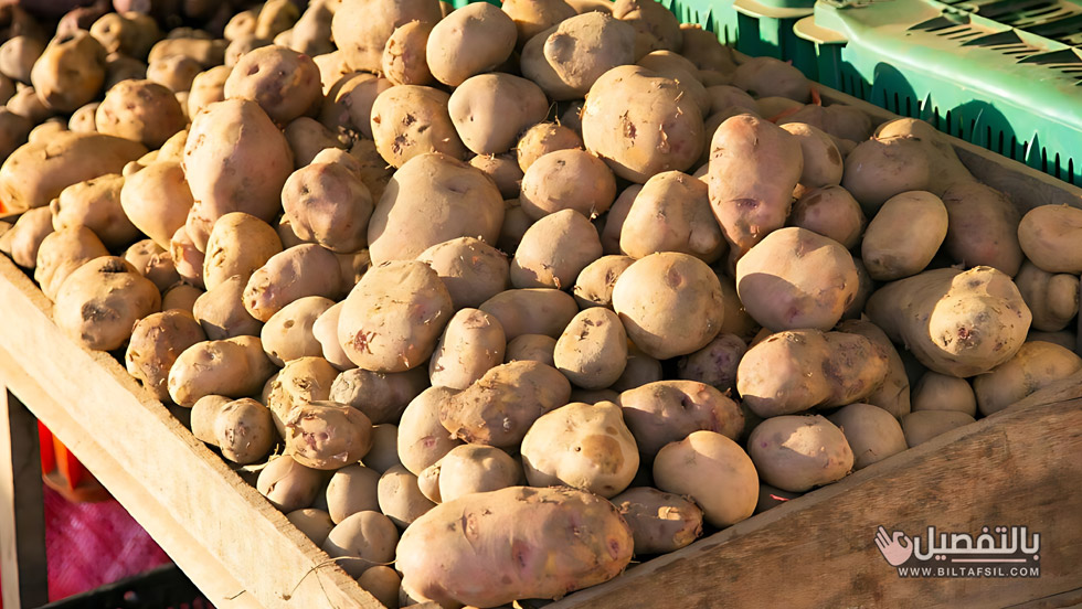 اسعار البطاطس اليوم في سوق العبور