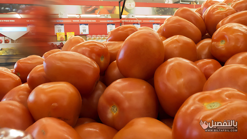 اسعار الطماطم اليوم