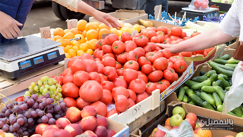 لماذا تختلف اسعار الطماطم باستمرار