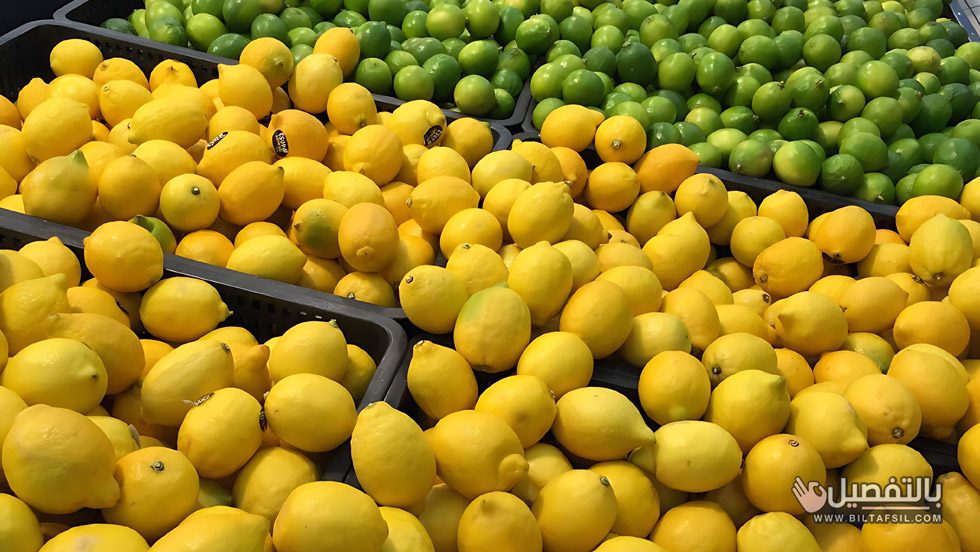 اسعار الليمون